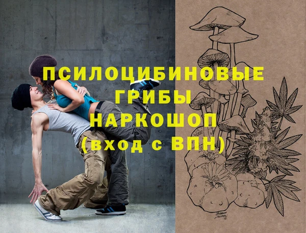дмт Арсеньев