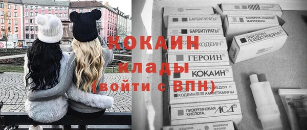дмт Арсеньев