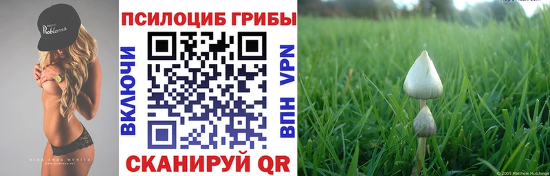 Галлюциногенные грибы Cubensis  Купить где  Билибино 
